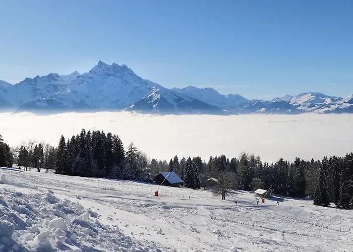 Le Bristol B11 By Interhome וילארס-סור-אולון