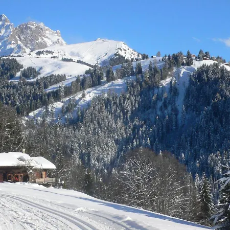 Le Bristol B11 By Interhome Villars-sur-Ollon