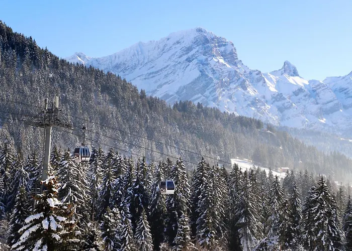 아파트 Le Bristol B11 By Interhome