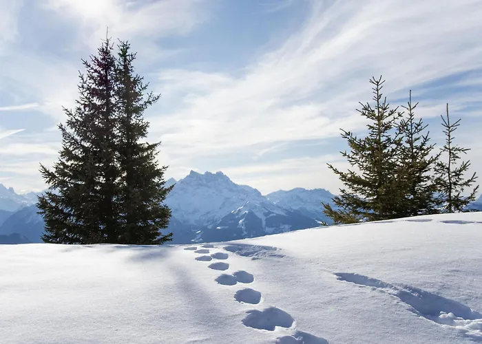 Le Bristol B11 By Interhome 아파트