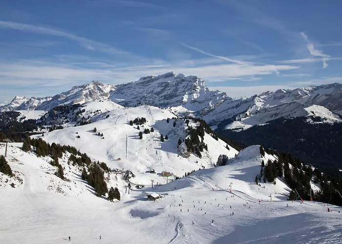 아파트 Le Bristol B11 By Interhome *